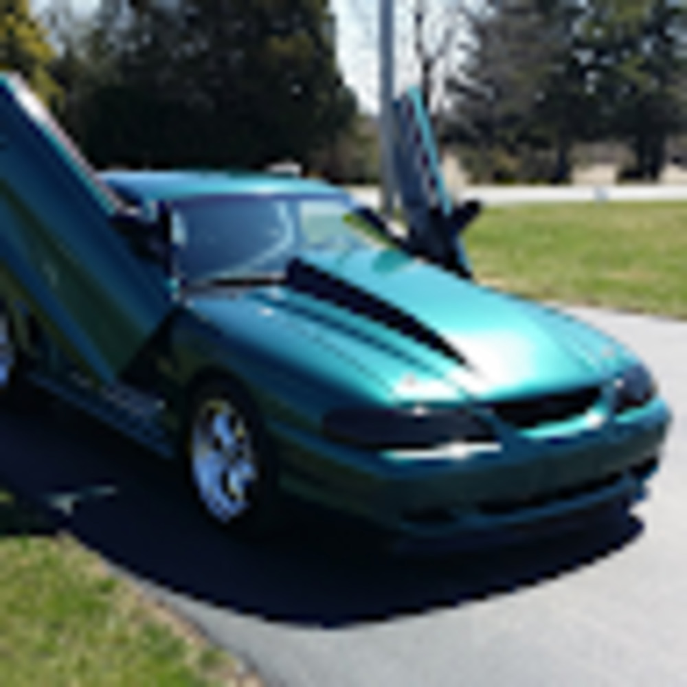 Meet your Posher, Jay